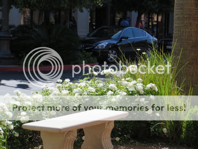 photo IMG_0451_zps9ba781ef.jpg